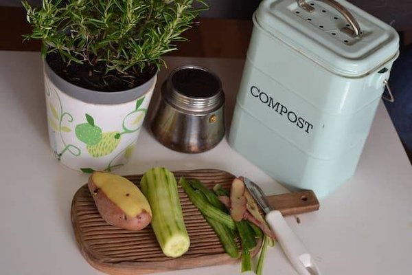 Compostage domestique : un pas vital pour l'environnement et votre bien-être